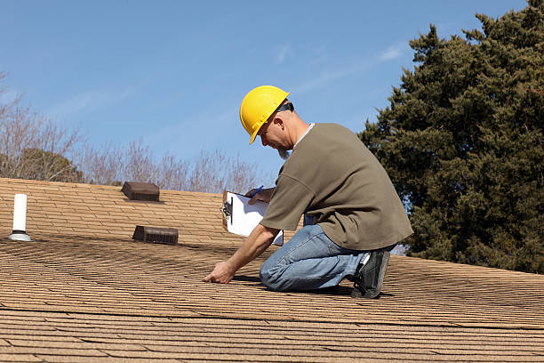 Best Skylight Installation and Repair  in Brownsville, PA